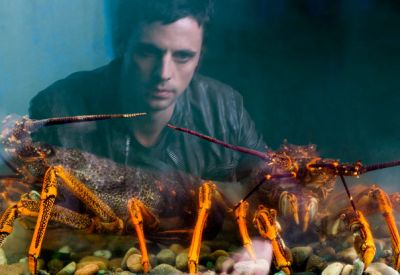 Matthew-Goode-communes-with-lobsters-in-Burning-Man_gallery_primary.jpg